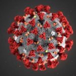 Virus